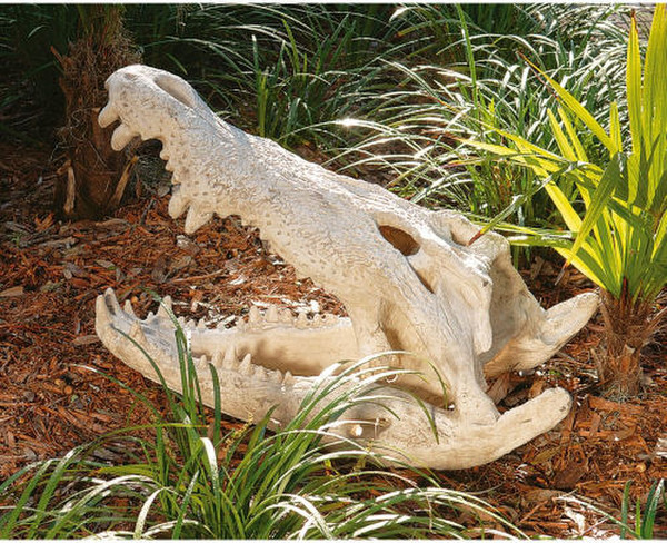Crocodile Skull Sculptural Artifact Replica Bust Reproduction